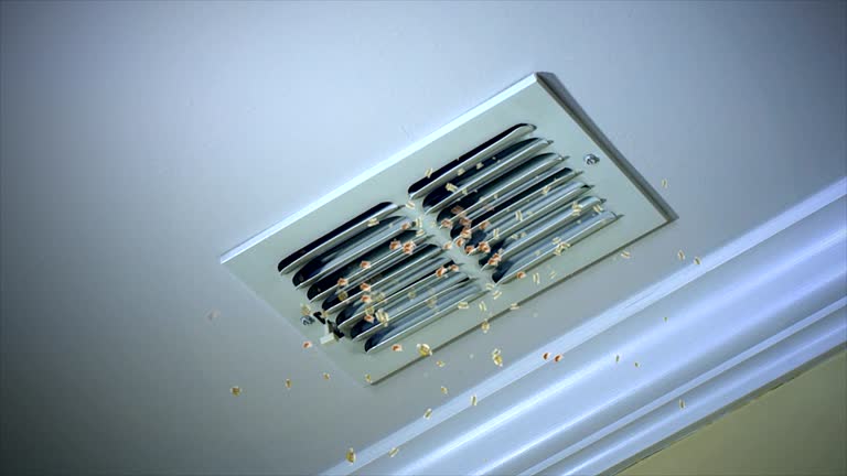Best Affordable HVAC Duct Cleaning  in Castle Rock, WA